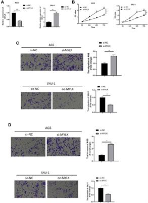 miR-181a-2-3p Stimulates Gastric Cancer Progression via Targeting MYLK